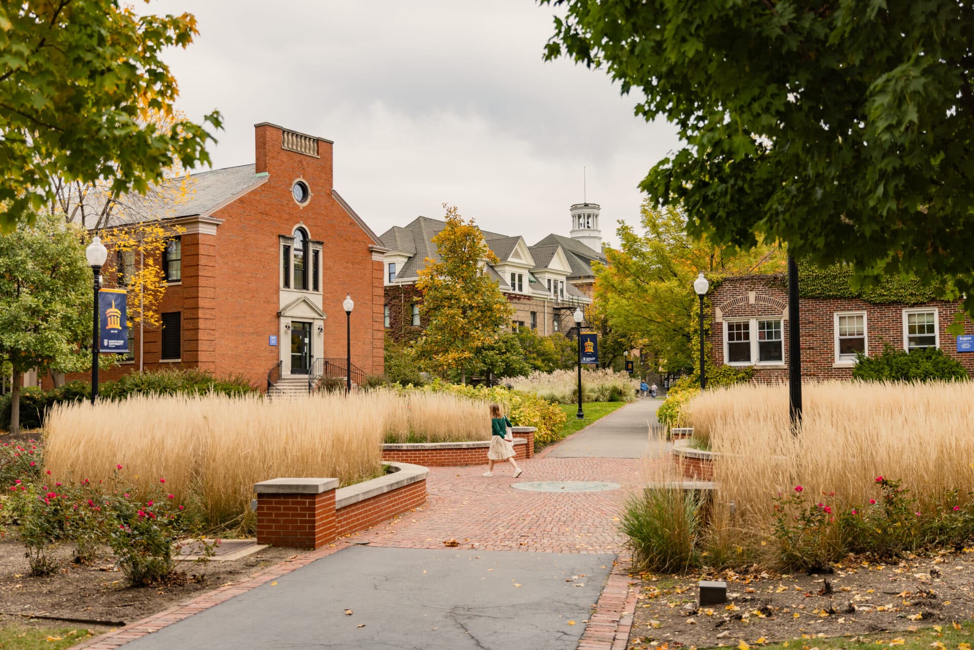 North Park campus in fall